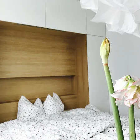 Design In Park Apartment