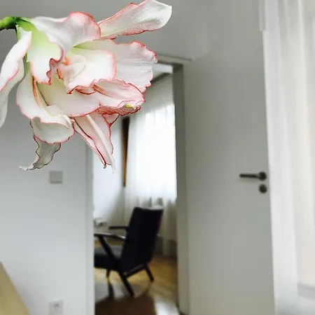 Apartment Design In Park